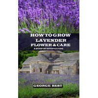  How to Grow Lavender Flower and Care: A Step by Step Guide – George Best