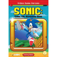  Video Game Heroes: Sonic: Sonic the Hedgehog Hero