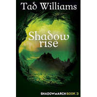  Shadowrise – Tad Williams