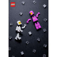  LEGO (R) Minifigure Journal