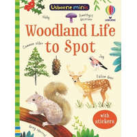  Woodland Life to Spot – KIRSTEEN ROBSON