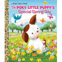  Poky Little Puppy's Special Spring Day – Diane Muldrow,Sue DiCicco