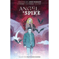  Angel & Spike Vol. 2 – Hayden Sherman