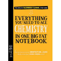 Everything You Need to Ace Chemistry in One Big Fat Notebook – Workman Publishing,Jennifer Swanson