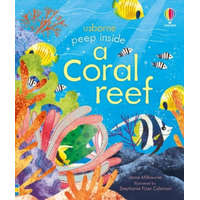  Peep inside a Coral Reef – Anna Milbourne