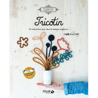  Tricotin - 20 réalisations pour déco & cadeaux tendance – Julie Picard