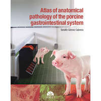  ATLAS OF ANATOMICAL PATHOLOGYOF THE GAST – SERAF N G MEZ