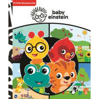 MI PRIMER BUSCA Y ENCUENTRA BABY EINSTEIN M1LF – BABY EINSTEIN