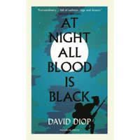  At Night All Blood is Black – Anna Moschovakis