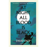 At Night All Blood is Black – Anna Moschovakis