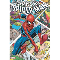  The Amazing Spider-man Omnibus Vol. 3 – Stan Lee,Roy Thomas,John Romita