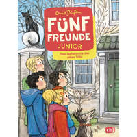 Fünf Freunde JUNIOR - Das Geheimnis der alten Villa – Gerda Raidt