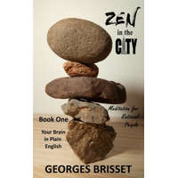 Zen in the City - Meditation for Rational People: Your Brain in Plain English – Georges Brisset
