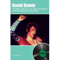 David Bowie The Rise And Fall Of Ziggy Stardust And The Spiders From Mars: In-depth