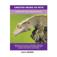  Crested Gecko as Pets