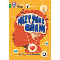  Meet Your Brain