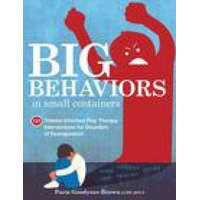  Big Behaviors in Small Containers: 131 Trauma-Informed Play Therapy Interventions for Disorders of Dysregulation