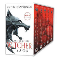 The Witcher Boxed Set: Blood of Elves, the Time of Contempt, Baptism of Fire, the Tower of Swallows, the Lady of the Lake – Danusia Stok,David A. French