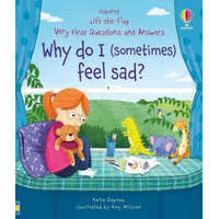  Very First Questions & Answers: Why do I (sometimes) feel sad? – Katie Daynes