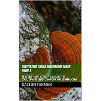 Cultivating Chaga Mushroom Made Simple – Dalton Farmer