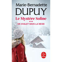  Un Chalet sous la neige (Le Mystère Soline, Tome 3) – Marie-Bernadette Dupuy