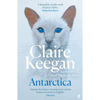  Antarctica – Claire Keegan