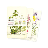  Royal Botanic Garden Edinburgh Set of 3 Mini Notebooks