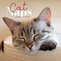  CAL 24 CAT NAPS MINI WALL CALENDAR – WALL