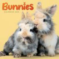  CAL 24 BUNNIES WALL CALENDAR – WALL