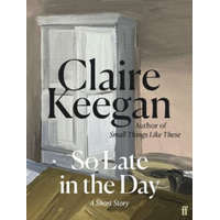  So Late in the Day – Claire Keegan