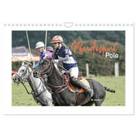  Pferdesport Polo (Wandkalender 2024 DIN A4 quer), CALVENDO Monatskalender – Uli Landsherr