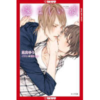 My Beautiful Man, Volume 3 (Light Novel) – Rikako Kasai
