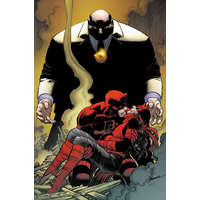DAREDEVIL BY SALADIN AHMED V03 LIVING HE – AHMED SALADIN