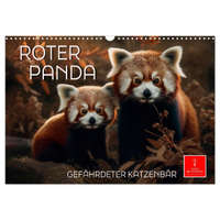 Roter Panda - gefährdeter Katzenbär (Wandkalender 2026 DIN A3 quer), CALVENDO Monatskalender