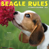 Beagle Rules 2026 12 X 12 Wall Calendar (Könyv)