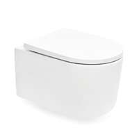  Wall-hung WC SAT with softclose seat, white, rim-ex, SAT72010RREXP