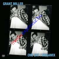 Grant Miller One Day / Megamix LP, Vinyl ,Bakelit