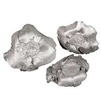 Medvés Kókusz virág szárított - ezüst 5db/cs