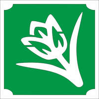 Mk Kreatív Stúdió 5x5 cm-es Csillám tetoválás sablon - Tulipán 10