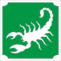 Mk Kreatív Stúdió 5x5 cm-es Csillámtetoválás sablon - Skorpió 48