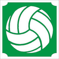 Mk Kreatív Stúdió 5x5 cm-es Csillámtetoválás sablon - Kosár labda 191