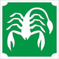 Mk Kreatív Stúdió Csillámtetoválás sablon - Csillagjegyek Skorpió 483