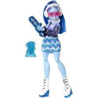 Mattel Mattel Monster High Fearbook Abbey Bominable baba kiegészítőkkel