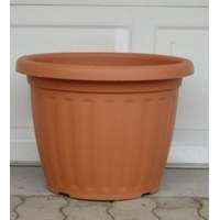 Bordás 60 cm cserép 2 színben