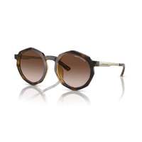 Armani Exchange Armani Exchange AX4132SU 821313 SHINY HAVANA GRADIENT BROWN napszemüveg