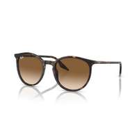 Ray-Ban Ray-Ban RB2204 902/51 HAVANA CLEAR/BROWN GRADIENT napszemüveg