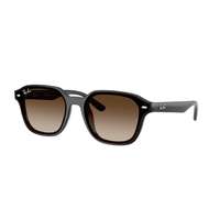 Ray-Ban Ray-Ban RB4458D 714/13 Transparent Dark Brown Gradient Brown napszemüveg