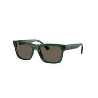 Ray-Ban Ray-Ban RJ9196S 7189/3 Transparent Green Brown napszemüveg