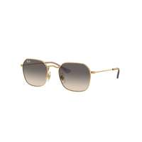 Ray-Ban Ray-Ban RJ9594S 292/11 Arista Gold Grey napszemüveg