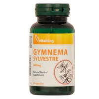 Vitaking Vitaking Gymnema Sylvestre 400mg (90) kapszula